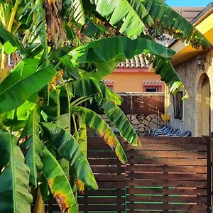 Girasoles , Sanlúcar de Barrameda España
